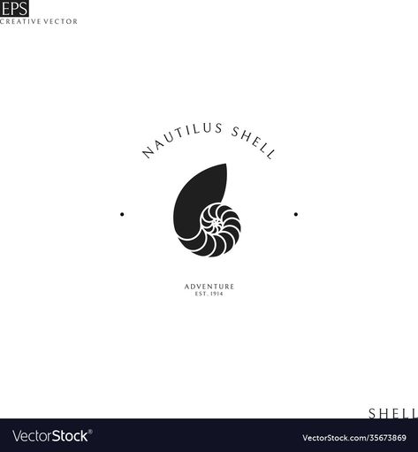 Nautilus Logo, Fibonacci Logo, Shell Logo Design, Seashell Logo, Shell Logo, Coin Logo, Geometry In Nature, Draw Logo, Budget Beauty