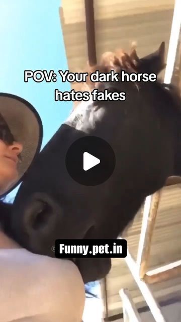 Cute Horse Videos, Funny Horses Videos, Horse Fails, Horses Videos, Horses Funny, Horse Video, Horse Humor, Funny Horse Videos, Funny Horse Pictures