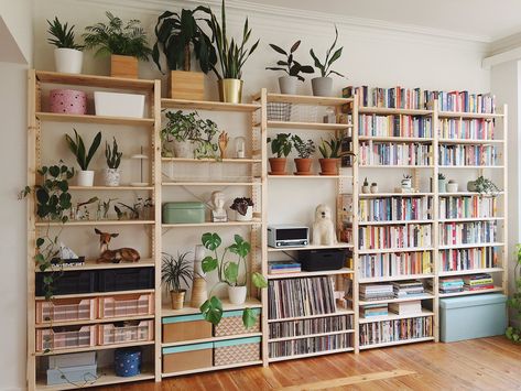 Books And Plants, Studio House, Earthy Home Decor, Earthy Home, Apartment Inspiration, Book Shelf, Interior Inspo, New Room, Home Decor Inspiration