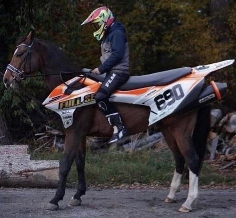 Horse Halloween Costumes, Funny Horse Pictures, Horse Jokes, Motocross Love, Image Moto, Motorcross Bike, Cute Horse Pictures, Horse Costumes, Funny Horses