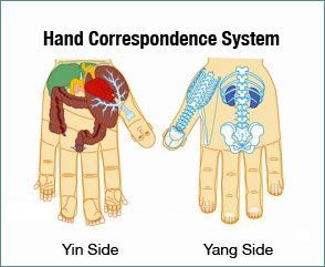 Hand Chart, Acupuncture Points Chart, Forward Head Posture Exercises, Hand Reflexology, Holistic Therapies, Health Heal, Hand Therapy, Alternative Healing, Yoga Therapy