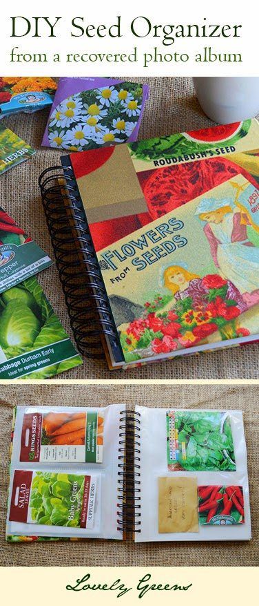 Use an old photo album to create a clever seed packet organizer! Cover the album in fabric for a finishing touch #crafts Seed Binder, Seed Organizer, Pinterest Craft, Lovely Greens, Search Pinterest, Gardening Flowers, Seed Saving, Garden Journal, Seed Packets