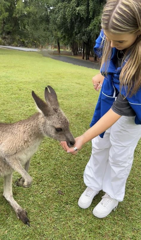 Zooaligest Aesthetic, Animal Caretaker Aesthetic, Kangaroos Aesthetic, Australia Animals Aesthetic, Zoo Keeper Aesthetic, Kangaroo Aesthetic, Wildlife Zoologist Aesthetic, Zoo Job Aesthetic, Zookeeper Aesthetic