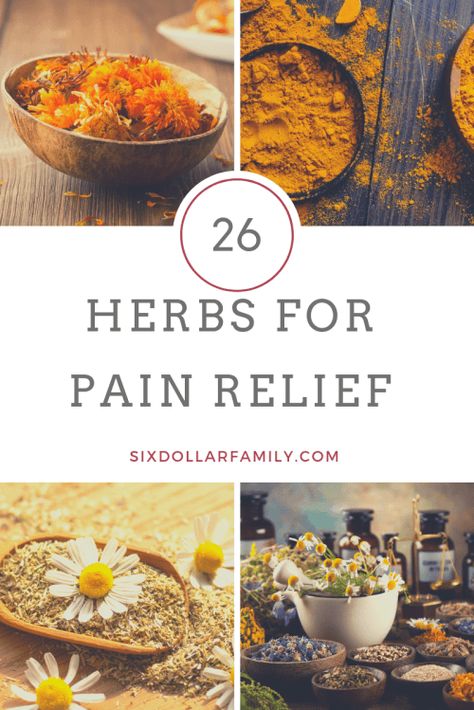 use Simply Earth Essential Oils. Not only are Simply Earth Pain Relieving Herbs, Holistic Pain Relief, Herbs For Back Pain, Herbal Tylenol Alternative, Herbs For Pain Relief, Herbal Pain Relief, Natural Apothecary, Nerve Pain Remedies, Learning Herbs