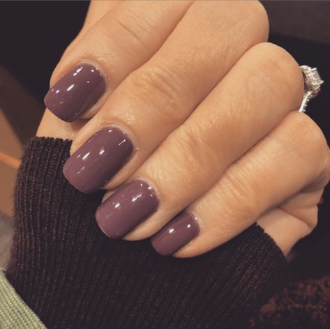 My new fall favorite shellac nail color. Dnd Nail Polish, Shellac Nail Colors, Shellac Nail Polish, Dip Nail Colors, Plum Nails, Fall Nail Polish, Colors 2023, Fall Gel Nails, Fall Acrylic Nails