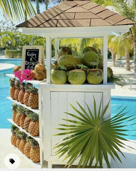 Bahamas Theme Party, Tropical Restaurant Design, Coconut Stand, Coconut Bar, Pool Side Bar, Fruit Stall, Bar Deco, Starting A Restaurant, Moana Themed Party