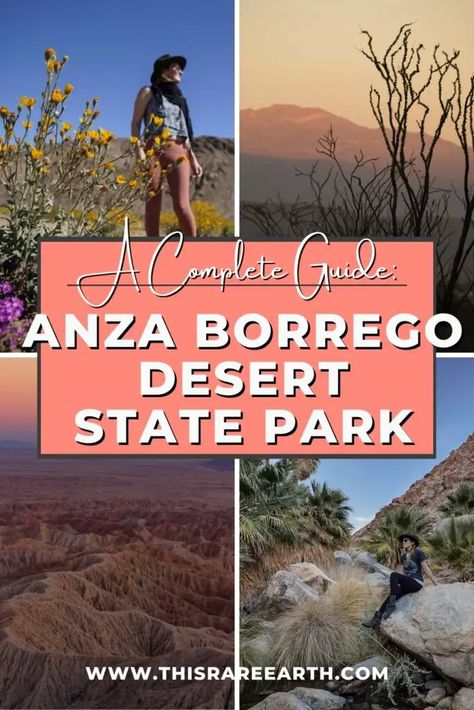 A Complete Guide to Visiting Anza Borrego Desert State Park - This Rare Earth Anza Borrego State Park, Southern California Hikes, Anza Borrego, Borrego Springs, Beautiful California, Hiking Essentials, Torrey Pines, Road Trip Destinations, Slot Canyon