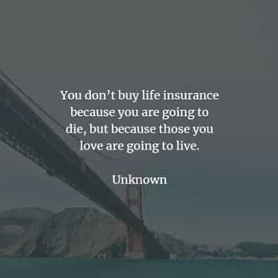 Life Insurance Facts, Insurance Car, Competitive Quotes, Car Insurance Tips, Compare Quotes, Insurance Marketing, Life Insurance Quotes, Cheap Car Insurance, Auto Insurance Quotes