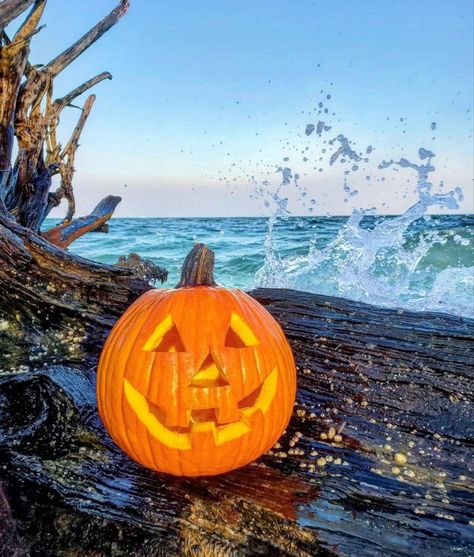 Fall Beach, Samhain Halloween, Beach Vacations, Holiday Pictures, Perfect Family, New Year Holidays, Florida Vacation, Holiday Art, Samhain