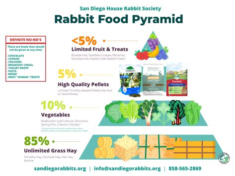 Food & Diet - Rabbit.org Food Schedule, Rabbit Room, Yogurt Drops, Bunny Things, High Fiber Fruits, Rabbit Diet, Fiber Fruits, Grass Hay, Food Pyramid