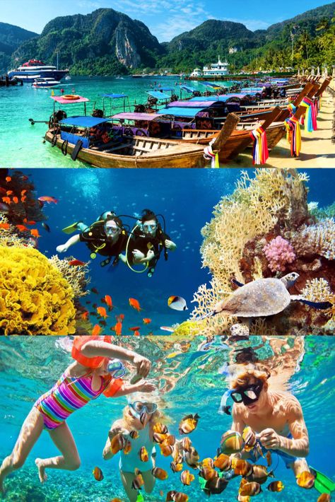 Andaman tour plan with Shikhar Travels Andaman And Nicobar Islands Aesthetic, Andaman And Nicobar Islands Project, Andaman And Nicobar Islands Collage, Andaman And Nicobar Island, Flora And Fauna Of Andaman And Nicobar, Flora Of Andaman And Nicobar Islands, Andaman Tour, Andaman Nicobar, Andaman And Nicobar Islands Photographs