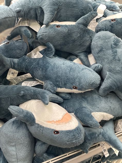 Sharks Aesthetic, Ikea Shark, Ocean Room Decor, Aesthetic Sea, Shark Pictures, Ocean Room, Shark Plush, Pretty Bike, Cute Shark