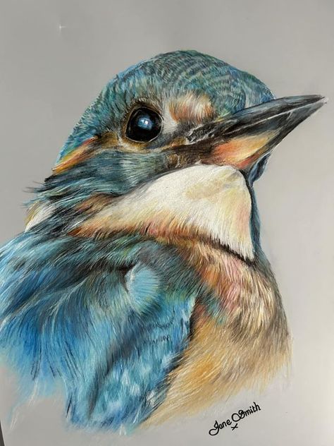 Australian Birds Art, Animal Paintings Acrylic Wildlife Art, Kingfisher Bird Drawing, Kingfisher Drawing, Wildlife Drawings, Arte Hippy, Kingfisher Painting, Kingfisher Art, King Fisher