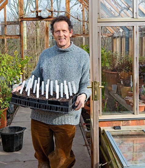 Monty Don reveals his secrets to super sweet peas Sowing Sweet Pea Seeds, Sweet Pea Planting Ideas, Sweet Peas In Pots, Sweet Pea Support Ideas, Sweet Pea Trellis Ideas, Sweet Pea Trellis, Longmeadow Garden, Pea Trellis, Growing Sweet Peas