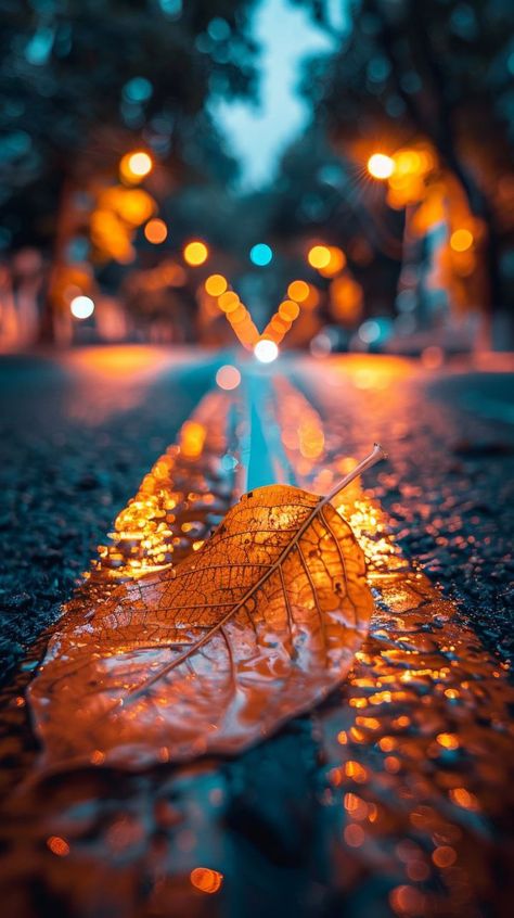 Prompt 👉a leaf laying on the side of a road, a picture, by irakli nadar, city streets, orange light, photo pinterest, split near the left, in the middle of the city, harsh, contraposto, in a row, aykut aydogdu, view from the streets, gold, today\'s featured photograph 8k, contrast light, gorgeous wallpaper, professional photography 👉 if Like, please Follow and Share AI Graphics Studio 👇Contact on WhatsAPP: http://tiny.cc/aigraphicsstudio #aigraphicsstudio #AI #DigitalMarketing #digitalartis.. Irakli Nadar, Gorgeous Wallpaper, Pastel Background Wallpapers, Photo Pinterest, Wallpaper Photo Gallery, Contrast Lighting, Light Photo, Photo Album Quote, Cute Black Guys