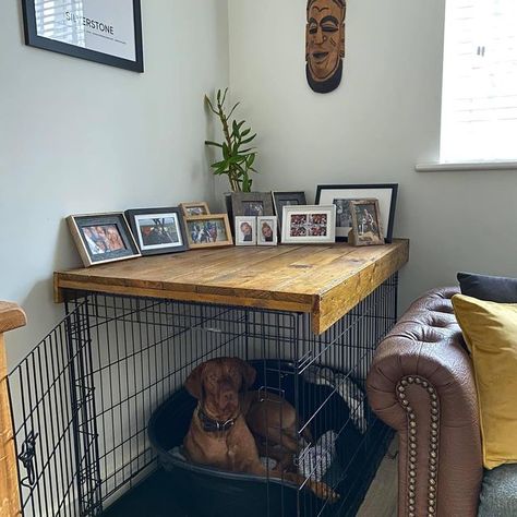 Making Dog Crates Cute, Dog Crate Set Up Puppys, Bedroom Ideas With Dogs, Apartment Dog Setup, Dog Cage Ideas Indoor Living Rooms, Dog Friendly Balcony Apartment, Living Room With Dog Crate, Dog Crate Setup, Hiding Dog Crate Ideas