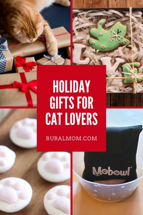 Holiday Gifts for Cat Lovers Christmas Presents For Cats, Fancy Cat Collar, Luxury Cat Bed, Cat Christmas Cards, Ragdoll Kittens For Sale, Found Cat, Cat Wine, Gifts For Cat Lovers, Fantasy Life