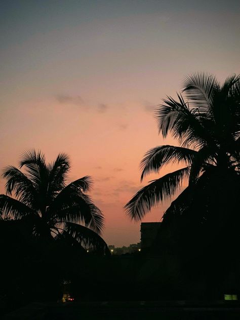 Coconut Tree Aesthetic, Clouds Reference, Dark Fairycore Aesthetic, Mumbai Aesthetic, Au Pics, Pastel Pink Wallpaper, Dark Fairycore, Dark Artifices, Palm Tree Sunset