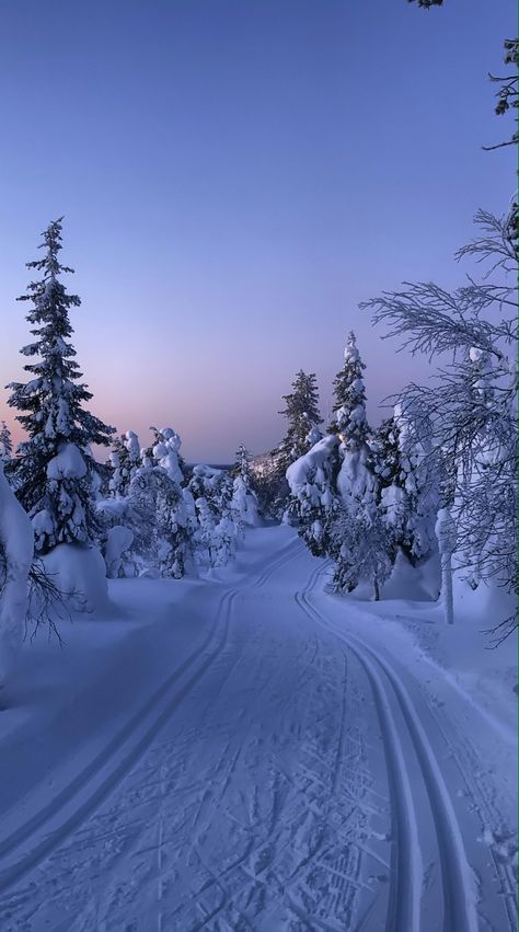 Ski Wallpaper Aesthetic, Plain Winter Wallpaper, Lapland Wallpaper, Winter Aethstetic, Skiing Aesthetic Wallpaper, Winter Asthetics Photos, Wallpaper Aesthetic Snow, Aesthetic Snow Wallpaper, Winter Vibes Wallpaper