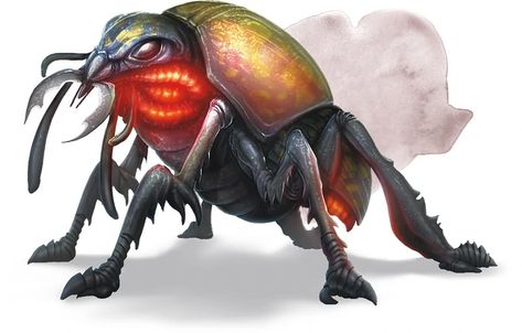 Beetle Art, D D Monsters, Stag Beetle, Dnd Monsters, Alien Creatures, Alien Art, Fantasy Monster, Monster Design, Animal Companions