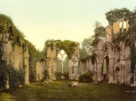 Abbey Ruins in England | Netley Abbey ruins, Southampton, England | My Southampton Netley Abbey, Abbey Ruins, Southampton England, Background Reference, Fantasy Architecture, San Myshuno, Art Test, Beautiful Ruins, Castle Ruins