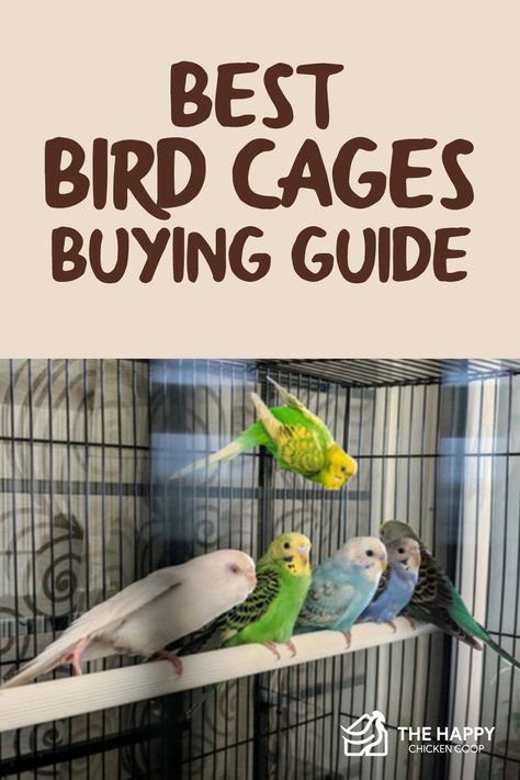 Flight Cage, Small Bird Cage, Large Bird Cages, Parrot Cage, Bird Care, Play Centre, Buying Guide, Pet Bird, Bird Cages