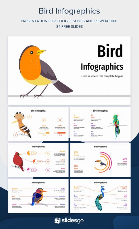 To make your presentations about birds even better, you can use these editable infographics with illustrations of many bird species! Bird Infographic, Animal Presentation, Simple Shirt Design, Research Presentation, Infographic Inspiration, Info Board, Bird Stand, Ppt Design, Graphic Design Photoshop