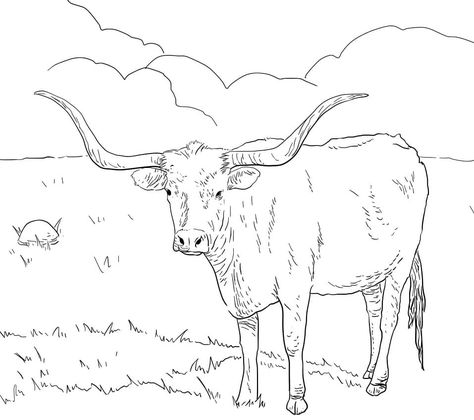 Longhorn Steer Art, Long Horn Drawing, Longhorn Outline, Longhorn Drawing, Longhorn Art, Cute Animal Coloring Pages, Texas Longhorn Cow, Cow Coloring Pages, Longhorn Steer