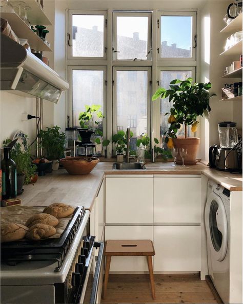 My Scandinavian Home, Lots Of Plants, Flat Interior, Flat Ideas, Small Flat, Dream Apartment, Apartment Inspiration, Scandinavian Home, Small Space Living