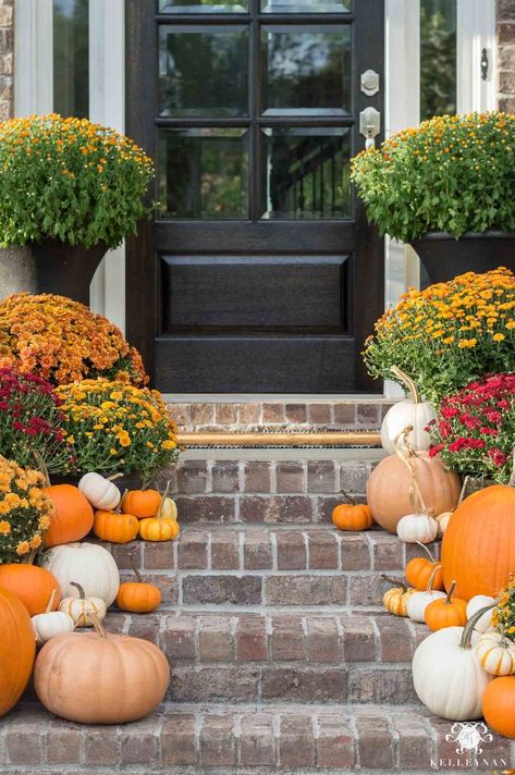 Fall porch decor with mums and pumpkins | Traditional fall front porch decorating ideas / How to decorate  your front porch for fall with pumpkins, white pumpkins, mums, and a fall wreath. #falldecor #wreath #falldecorating #fallfrontporchdecor #pumpkins Fall Container Plants, Mums In Pumpkins, Front Porch Steps, Fall Container Gardens, Porch Styles, Fall Mums, Fall Containers, Fall Planters, Fall Front Porch Decor