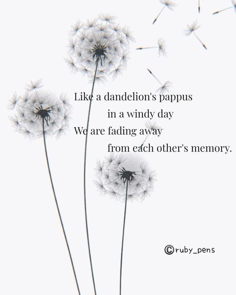 Quotes About Dandelions, Dendalions Flower, Dandelions Quote, Dandelion Aesthetic Art, Dandelion Poem, Dandelion Meaning, Dandelion Quotes, Flower Poem, Flower Quote