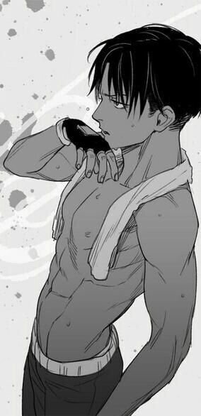 Levi Ackerman, training; Attack on Titan Levi Ackerman Hot, Anjing Pug, Captain Levi, Titans Anime, Attack On Titan Fanart, Attack On Titan Levi, Attack On Titan Art, Manga Boy, X Reader