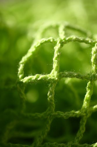 Photo Star, Green Yarn, Colour Field, Simple Green, Green Life, World Of Color, Green Grass, Green Aesthetic, Color Of Life