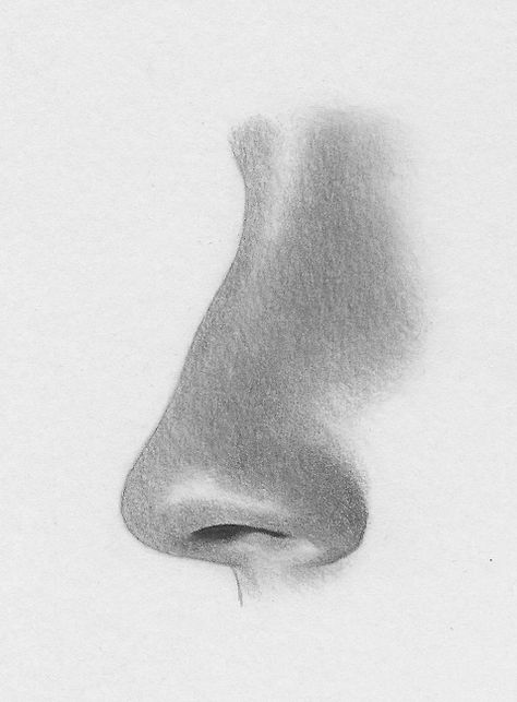 Nose From The Side, Draw Profile, Cartoon Noses, How To Draw A Nose, Draw A Nose, Profile Drawing, Nose Drawing, 얼�굴 그리기, Art Drawings Sketches Pencil