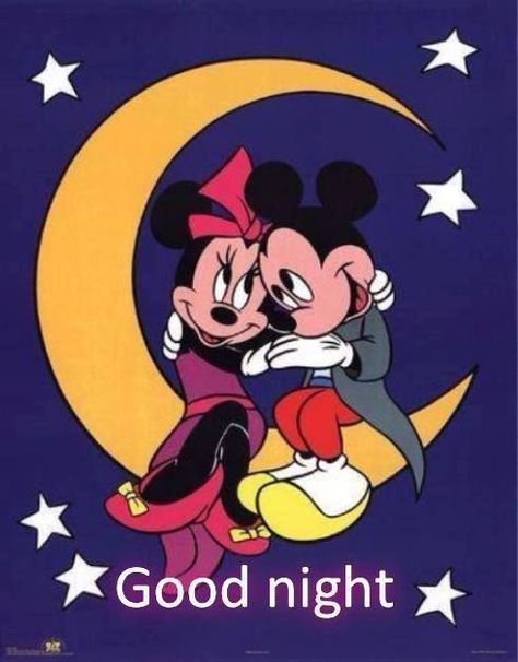 Goodnight goodnight goodnight quotes goodnight images Good Night Princess, Night Princess, Minnie Wallpaper, Mickey And Minnie Love, Minnie Mouse Pictures, Mickey Love, Mickey Mouse Pictures, Images Disney, Retro Disney