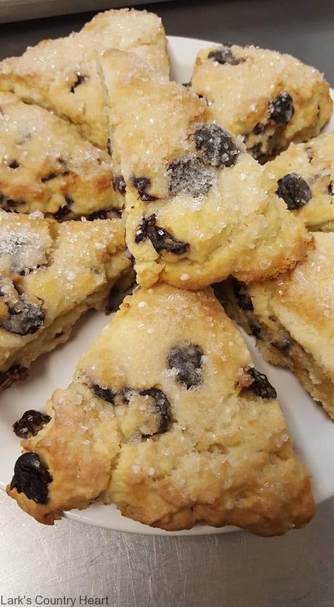 Dried Cherry Vanilla Scones Dried Cherry Recipes, Cherry Scones Recipe, Vanilla Scones, Dried Cranberries Recipes, Tart Cherries Recipes, Cherry Scones, Fruit Scones, Scones Recipe Easy, Cherry Vanilla