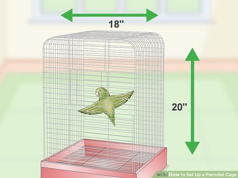 How to Set Up a Parrotlet Cage Parrotlet Cage Setup, Cockatiel Bird Cage Setup, Cool Parakeet Cages, Large Parrot Cage, Bioactive Bird Cage, St Marks Place, Birds Cage, Fun And Easy Diys, Parrot Pet