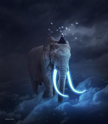 Photo Manipulate, Photoshop Surrealism, Surreal Photoshop, Elephant Photo, Cool Photoshop, Elephants Photos, Photoshop Tutorial Photo Editing, Photoshop Artwork, Photoshop Design Ideas