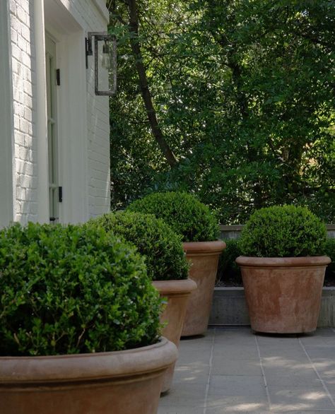 I asked landscaping experts @fromthegrounduplandscape and @millhousehowell_landscape.co what clients are asking for right now, what trends they expect or hope to see more of in 2025, and what homeowners can be doing now to prepare their yards for spring. Visit the blog to hear what they said. www.gardenandgracedesign.com . . . #landscapedesign #landscapearchitecture #landscaping #2025trends #yarddesign #backyarddesign #yardmaintenance #designtrends #asktheexperts #dallasgardens #birming... Historic Farmhouse, Boxwood Garden, Yard Maintenance, Exterior Inspiration, Garden Design Layout, Shady Lady, Raised Planter, Yard Design, Farmhouse Exterior