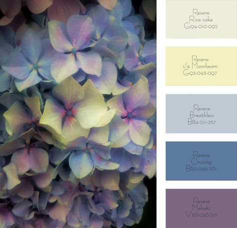 #hydrangea hues colour palette Hydrangea Color Palette, Dark Blue Hydrangea, Exterior Paint Schemes, Hydrangea Colors, Hue Color, Wedding Palette, Lake Wedding, Blue Hydrangea, Paint Schemes