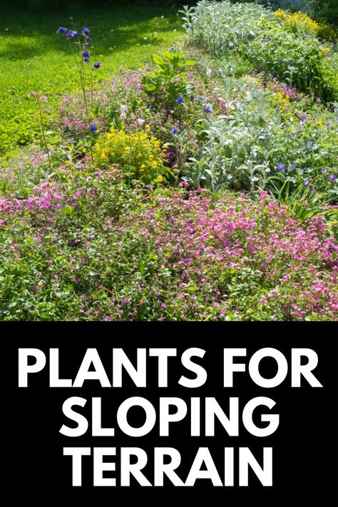 Steep Hill Landscaping, Sloping Backyard, Steep Hillside Landscaping, Steep Backyard, Sloped Front Yard, Steep Gardens, Sloped Backyard Landscaping, Terraced Landscaping, Landscaping A Slope