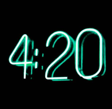 4 20 Wallpaper Aesthetic, Weeds Wallpaper, Neon Quotes, Dark Green Aesthetic, Wallpaper Iphone Neon, Trippy Wallpaper, Neon Aesthetic, Neon Wallpaper, Picture Collage Wall