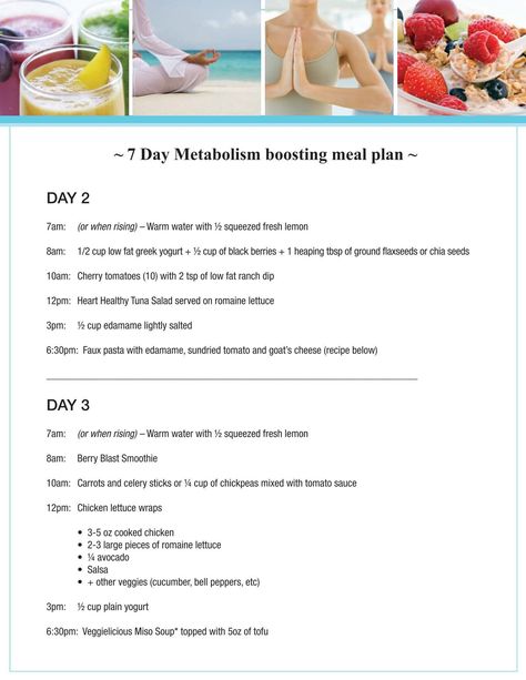 7 Day Metabolism boosting meal plan Svelte Training Meal Plan, Metaboost 3 Day Plan, Svelte 7 Day Meal Plan, Svelte 3 Day Meal Plan, Metaboost 7 Day Meal Plan, Metaboost 3 Day Meal Plan, Metaboost 7 Day Meal Plan Svelte, Metabolic Confusion Meal Plan, Metaboost Connection