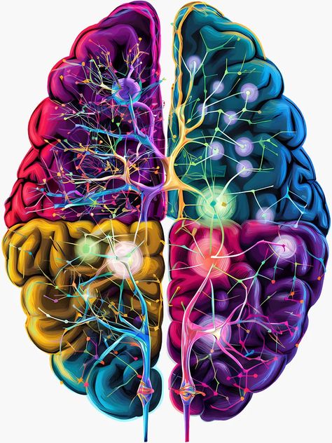 ""Vibrant Neural Network Brain Illustration - Science and Art Combined"" Sticker for Sale by WatermelonPink | Redbubble Brain Illustration Design, Brain Graphic Design, Human Brain Art, Neural Network Art, Brain Maps, Brain Artwork, Brain Pictures, Molecule Art, Neuroscience Art