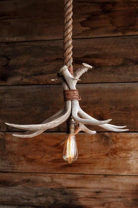 Deer antler decor