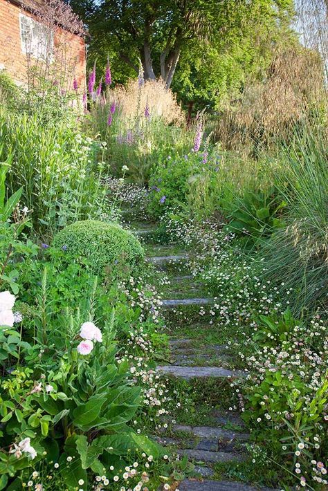 Sloped Cottage Garden, Wild Woodland Garden, Wild Landscape Design, Pete Oudolf Garden Design, Woodland Slope Garden, Wild Front Garden, Sloping Garden Design, Garden Design Slope, Rewilding Garden Uk