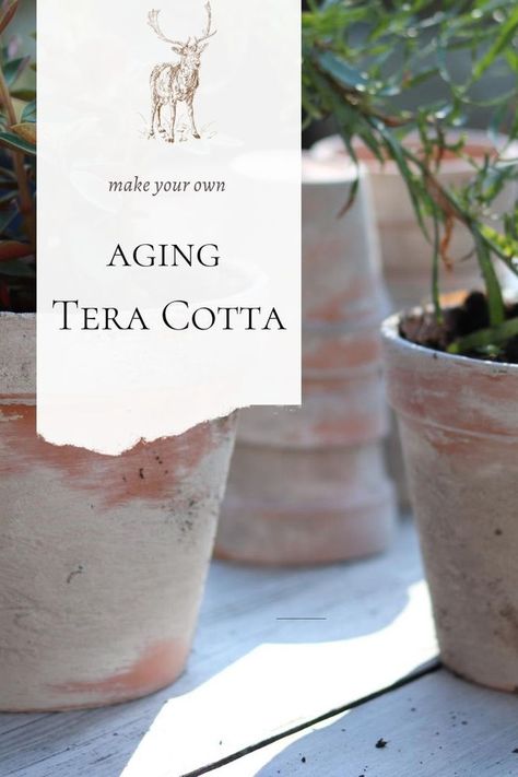 Age Terra Cotta Pots Diy, Aged Terra Cotta Pots, Tera Cotta, Herb Centerpieces, Aging Terra Cotta Pots, Terra Cotta Pots Garden, Diy Terra Cotta Pots, Pots Diy, Terra Cotta Clay Pots