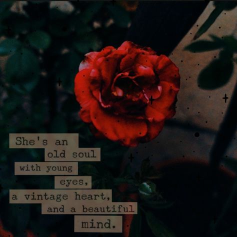 Red rose with beautiful quotes Red Spider Lily Quotes English, Aesthetic Qoutes Flower, Red Flower Quotes, Rose Captions Short, Rose Flower Quotes Short Beautiful, Flower Quotes Short Beautiful Aesthetic, Roses Aesthetic Quotes, Red Rose Captions For Instagram, Red Roses Quotes Beauty