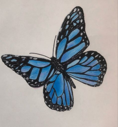 Blue Butterflies Drawing, Blue Monarch Butterfly Drawing, Butterfly Drawing Aesthetic Colorful, Blue Butterfly Sketch, Butterfly Art Sketch, Butterfly Drawing Detailed, Blue Butterfly Drawing Easy, Pencil Butterfly Drawings, Blue Morpho Butterfly Drawing