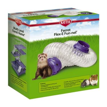 Ferret Toys, A Ferret, Pet Ferret, Pet Rats, Pet Bird, Small Animals, Animal Hospital, Pet Parent, Ferret